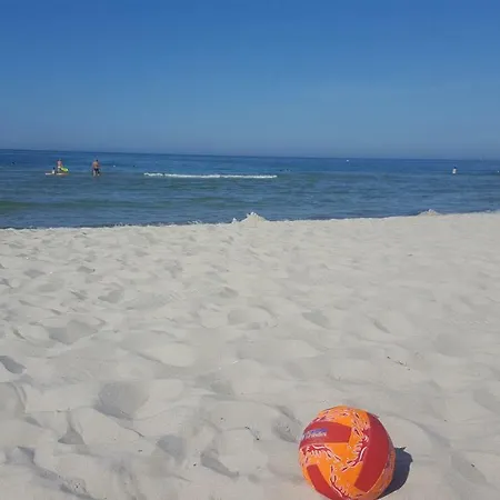 Muehlenstr Prerow, Ruhig, Zentral, Mit Terrasse *